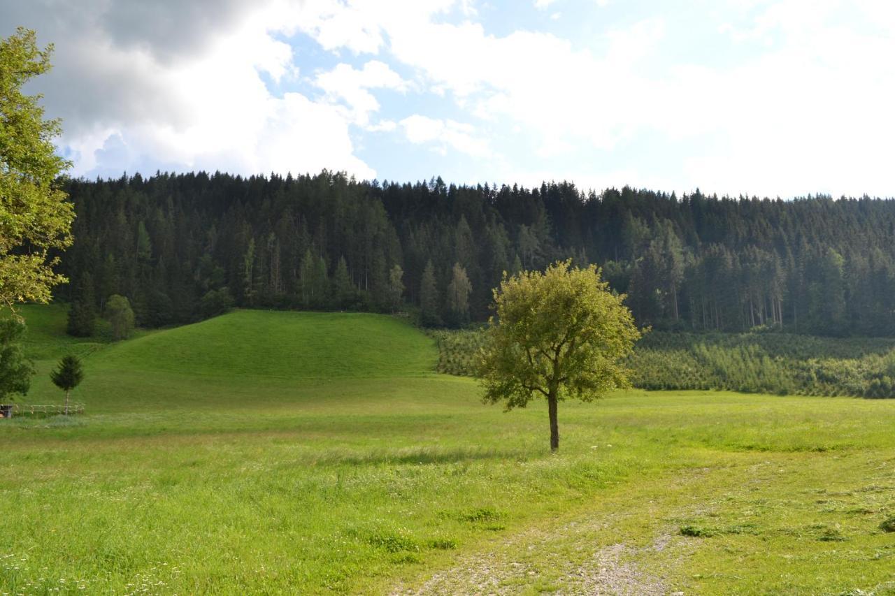 Ferienwohnung Ertlerhof Ranten 外观 照片